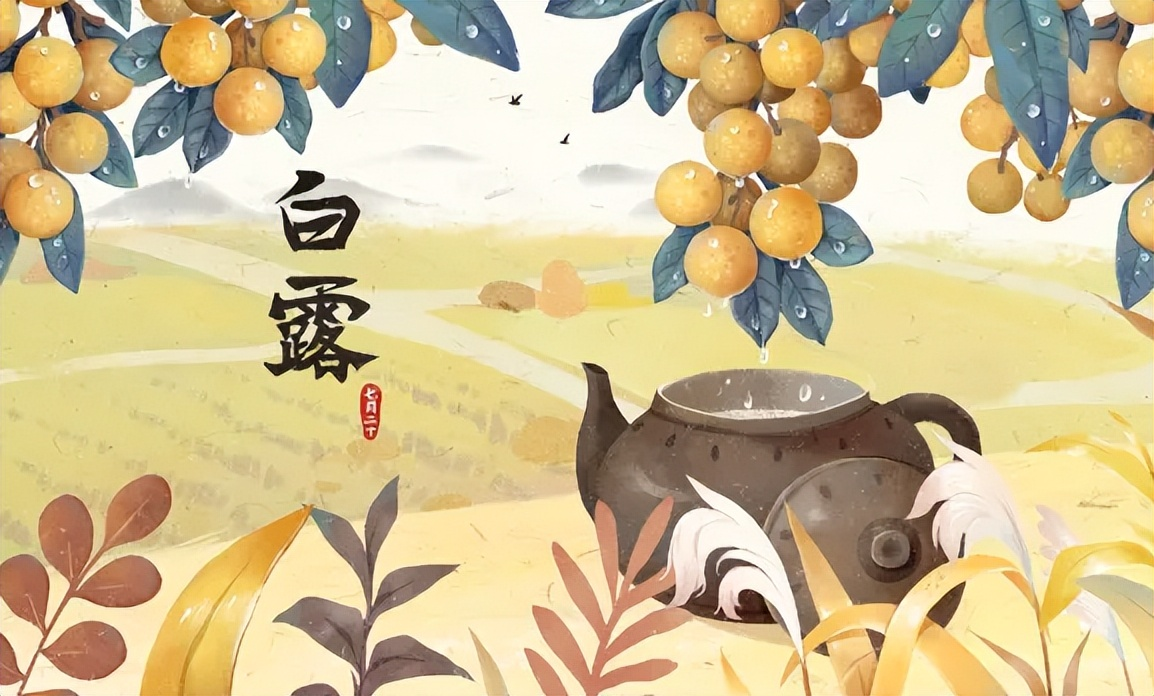 白露1