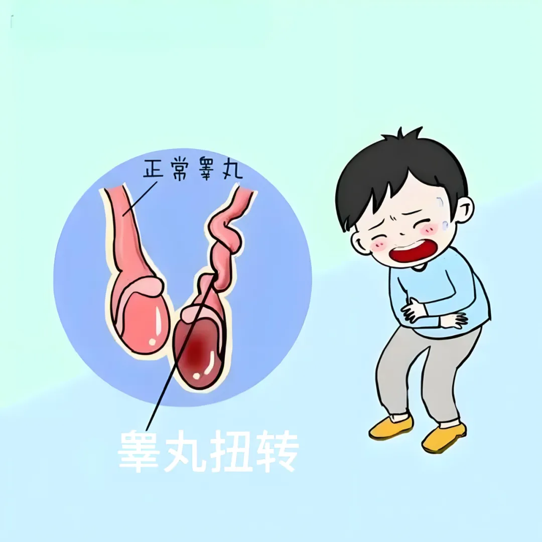 微信图片_20250629113619 微信图片_20250629113619