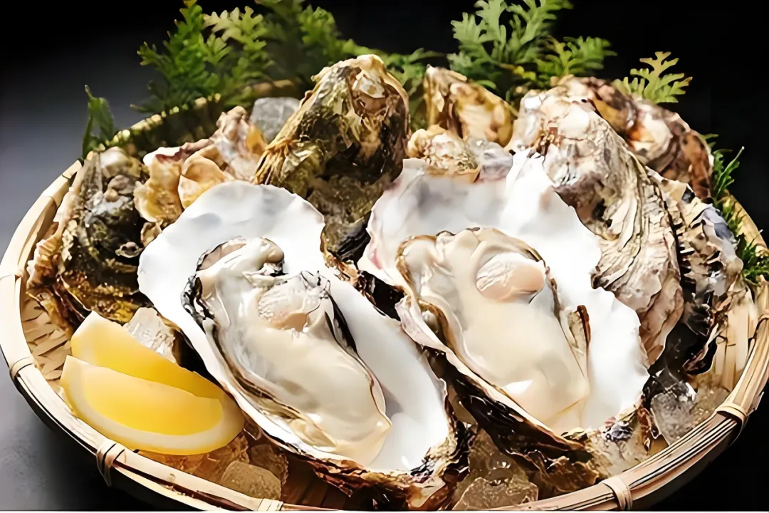 微信图片_20250619154622 微信图片_20250619154622