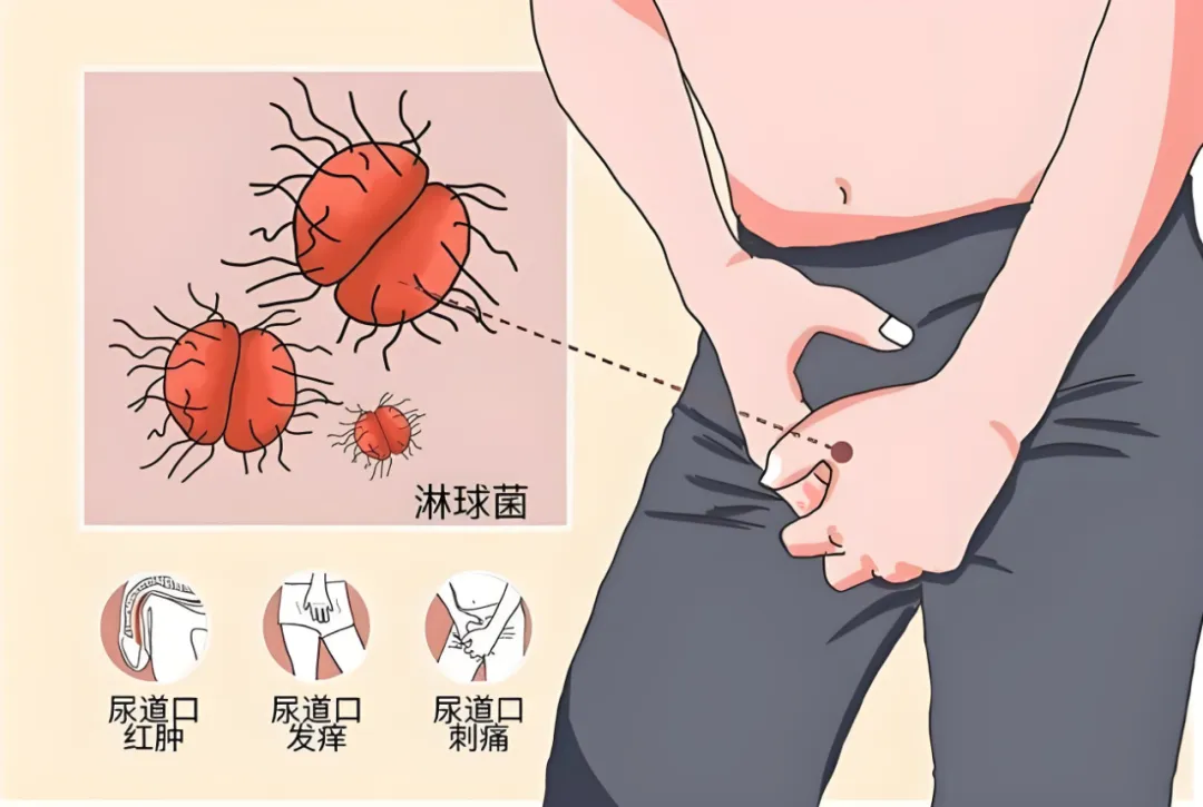 微信图片_20250707164754