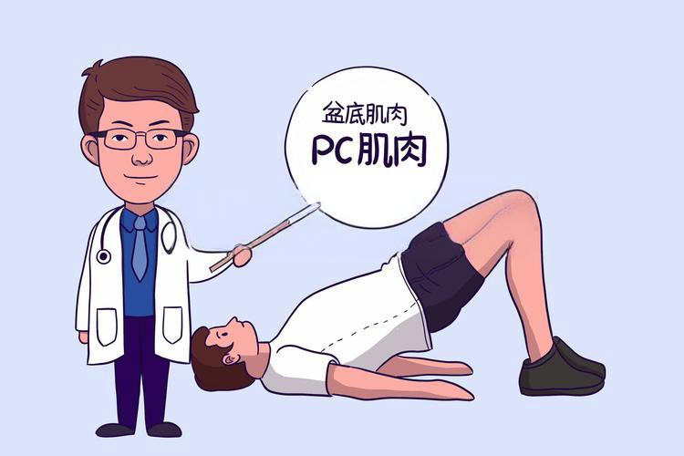 盆底肌锻炼