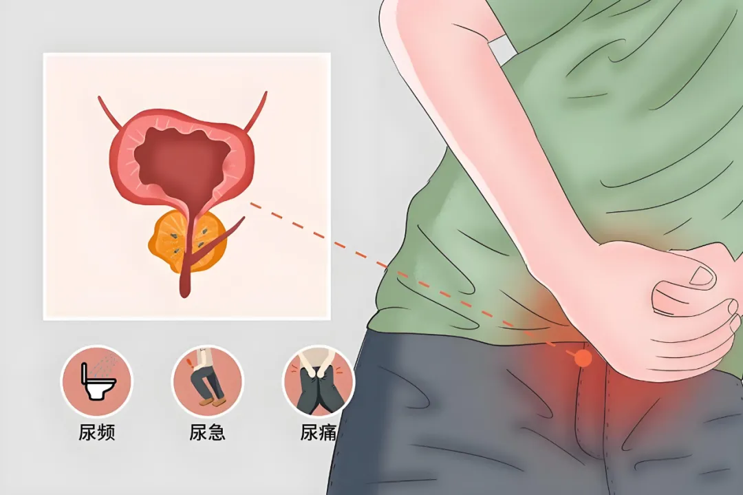 微信图片_20250709154426